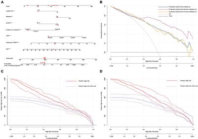A Dynamic Nomogram for 3-Month Prognosis for Acute Ischemic Stroke Patients After Endovascular Therapy: A Pooled Analysis in Southern China